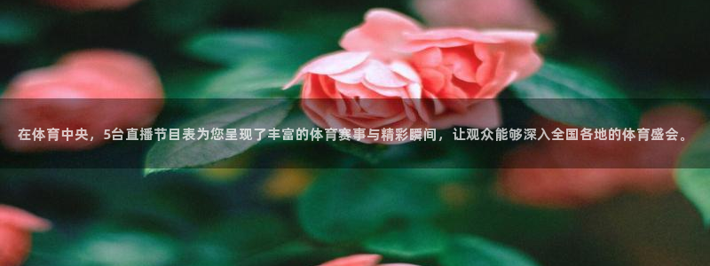 黑白直播世界杯直播入口